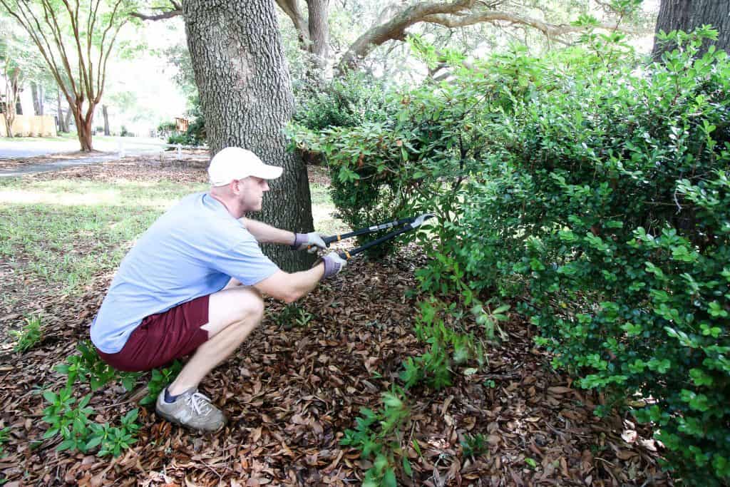 cleaning up the natural area