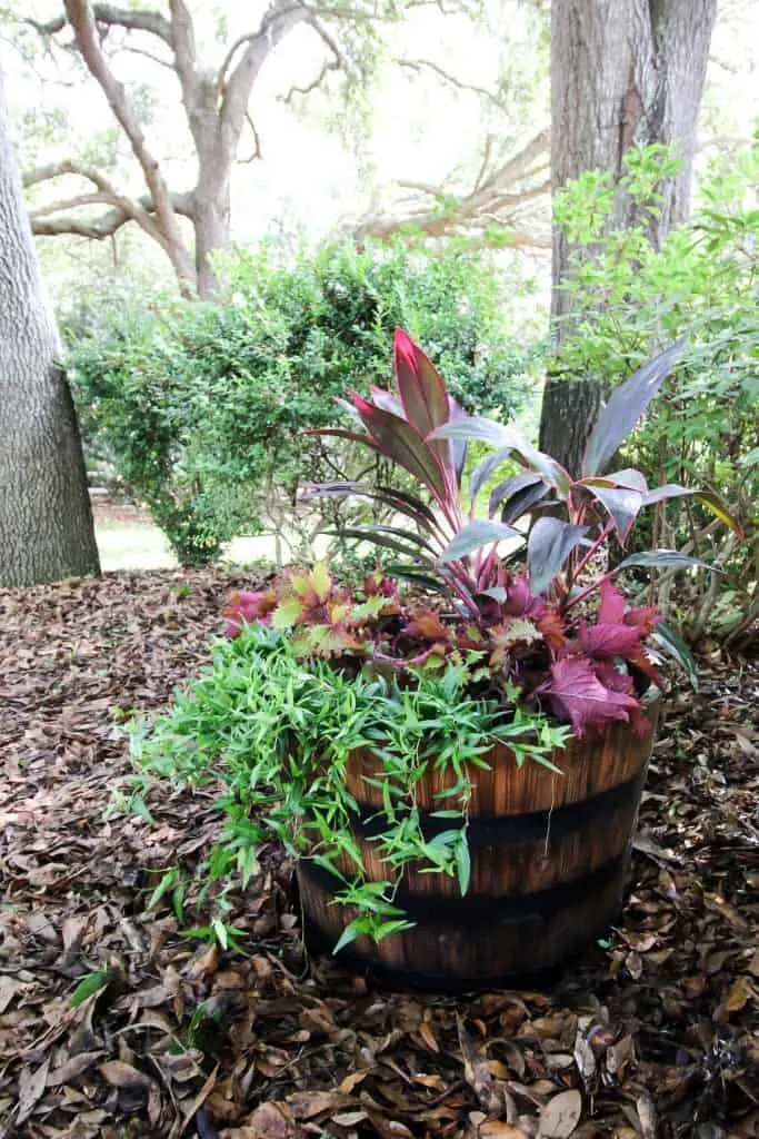 how to style a whiskey barrel planter
