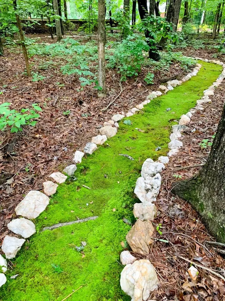 how to grow a moss path