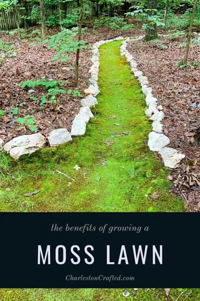 benefits of a moss lawn