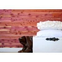 CedarSafe Aromatic Cedar Natural Closet Liner Planks-FL60/15N - The Home Depot