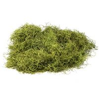 1 LB Dyed Spanish Moss