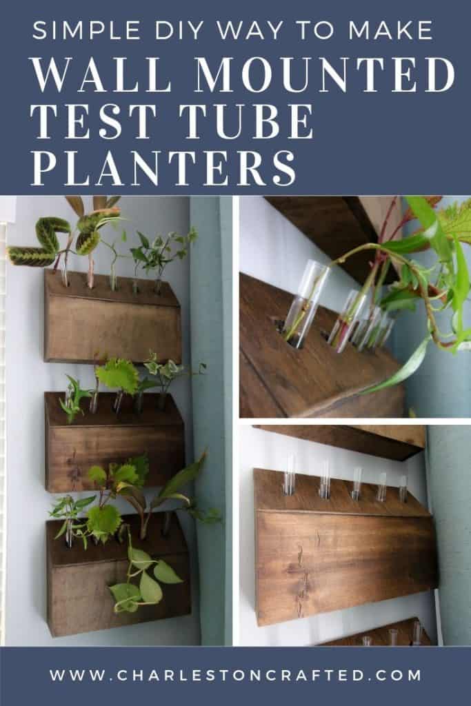 DIY wall mounted test tube planter propagation station