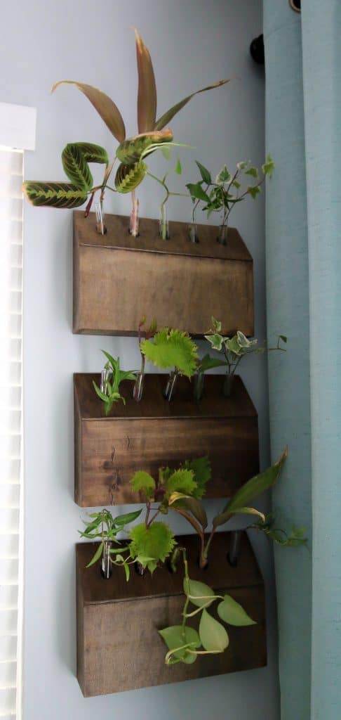 DIY wall mounted test tube planter propagation station