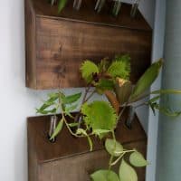 How to Build a Wall-Hanging Test Tube Planter