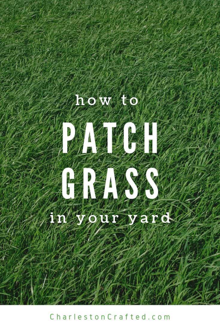 how to patch grass in your yard