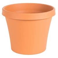 Terracotta Pot Clay Pots 6"