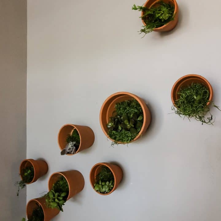 How to hang a DIY Indoor Plant Wall