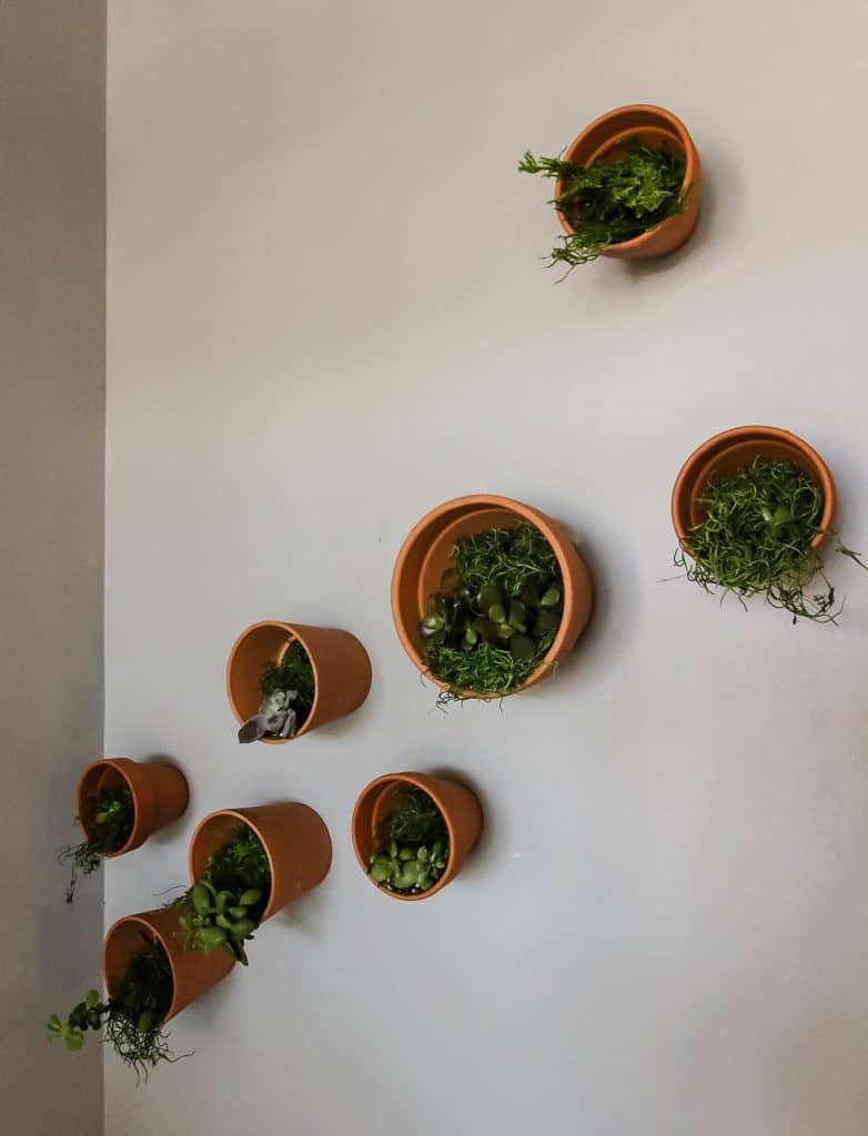 DIY Indoor Plant Wall