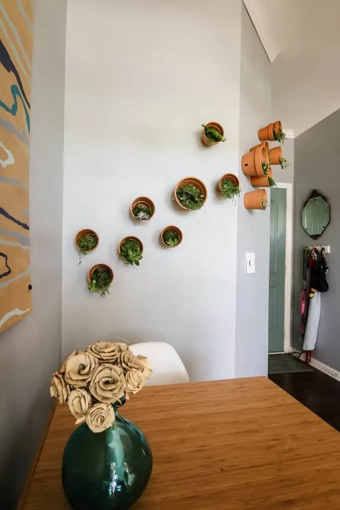 DIY Indoor Plant Wall