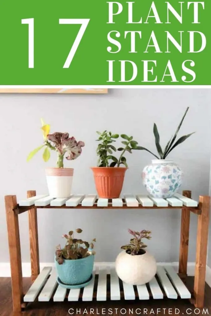17 DIY Plant Stands You Can Make This Weekend