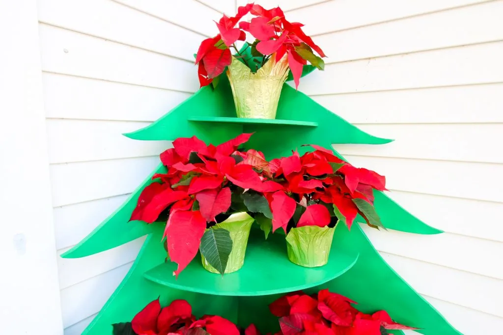 Shelves on Poinsettia Stand