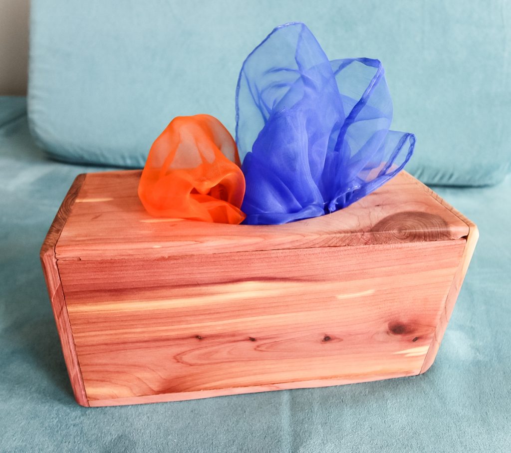 DIY Magic Tissue Box - Charleston Crafted