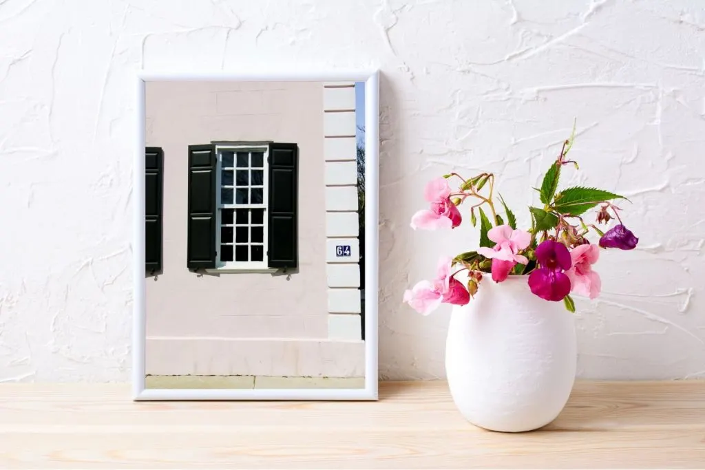 historical window of charleston art print