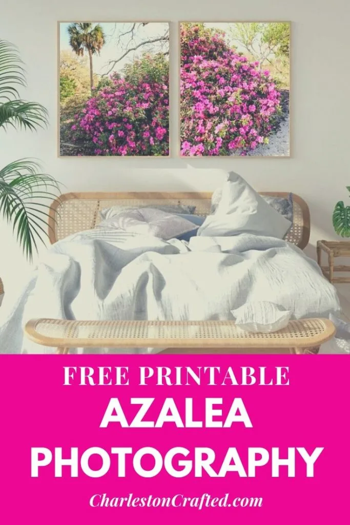 FREE Printable Spring Azalea Photography