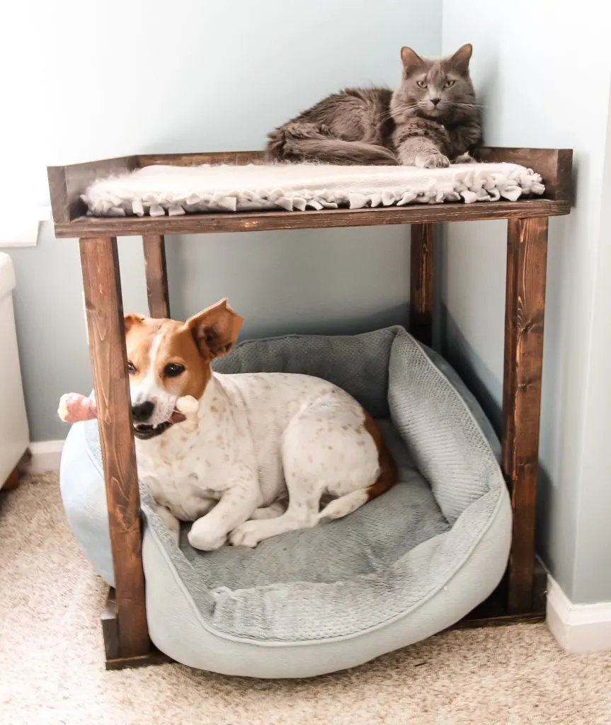 Diy Pet Bunk Bed Fre Pdf Woodworking, Wooden Diy Dog Bunk Beds