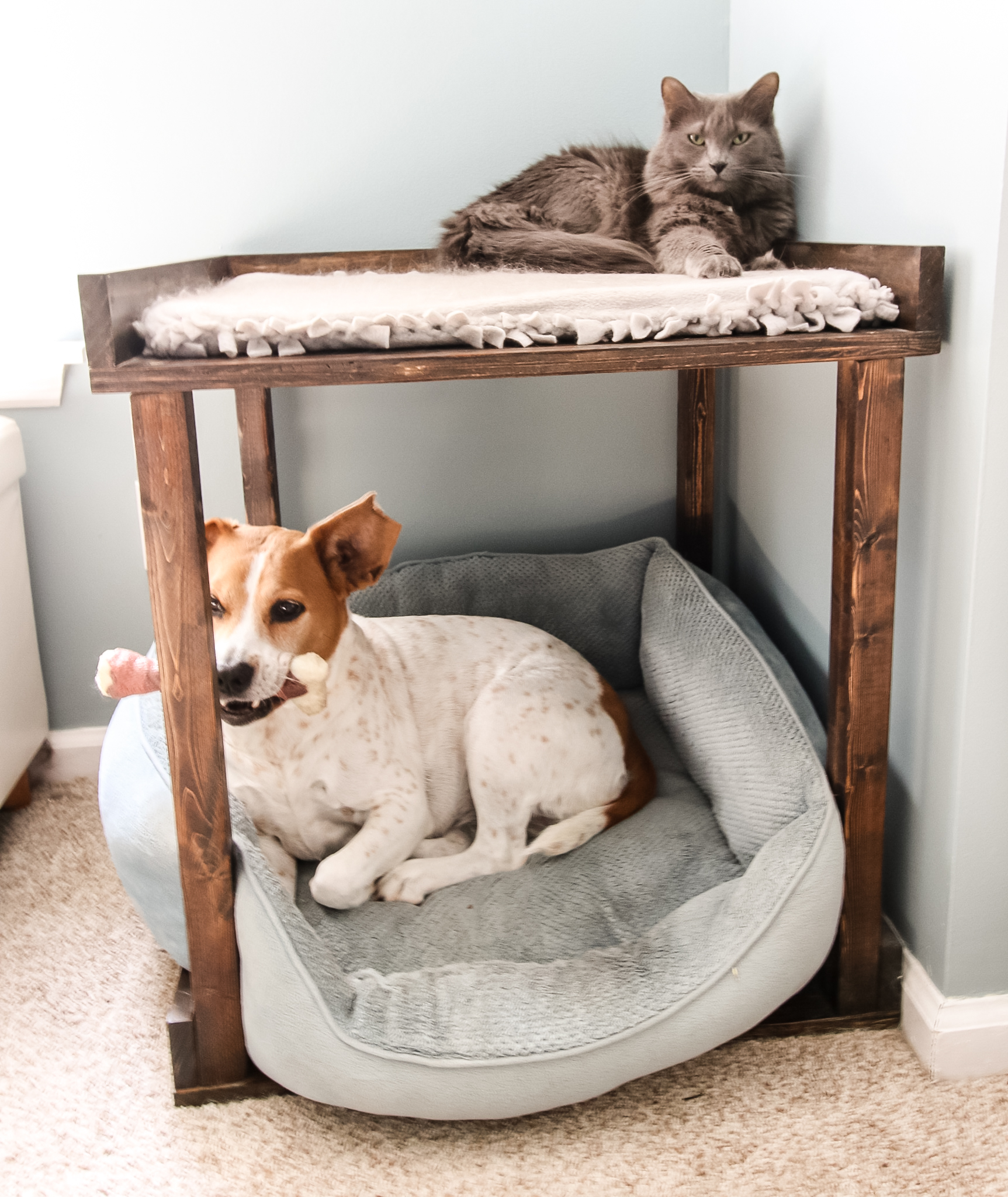 Diy Pet Bunk Bed Fre Pdf Woodworking, Cat Bunk Beds