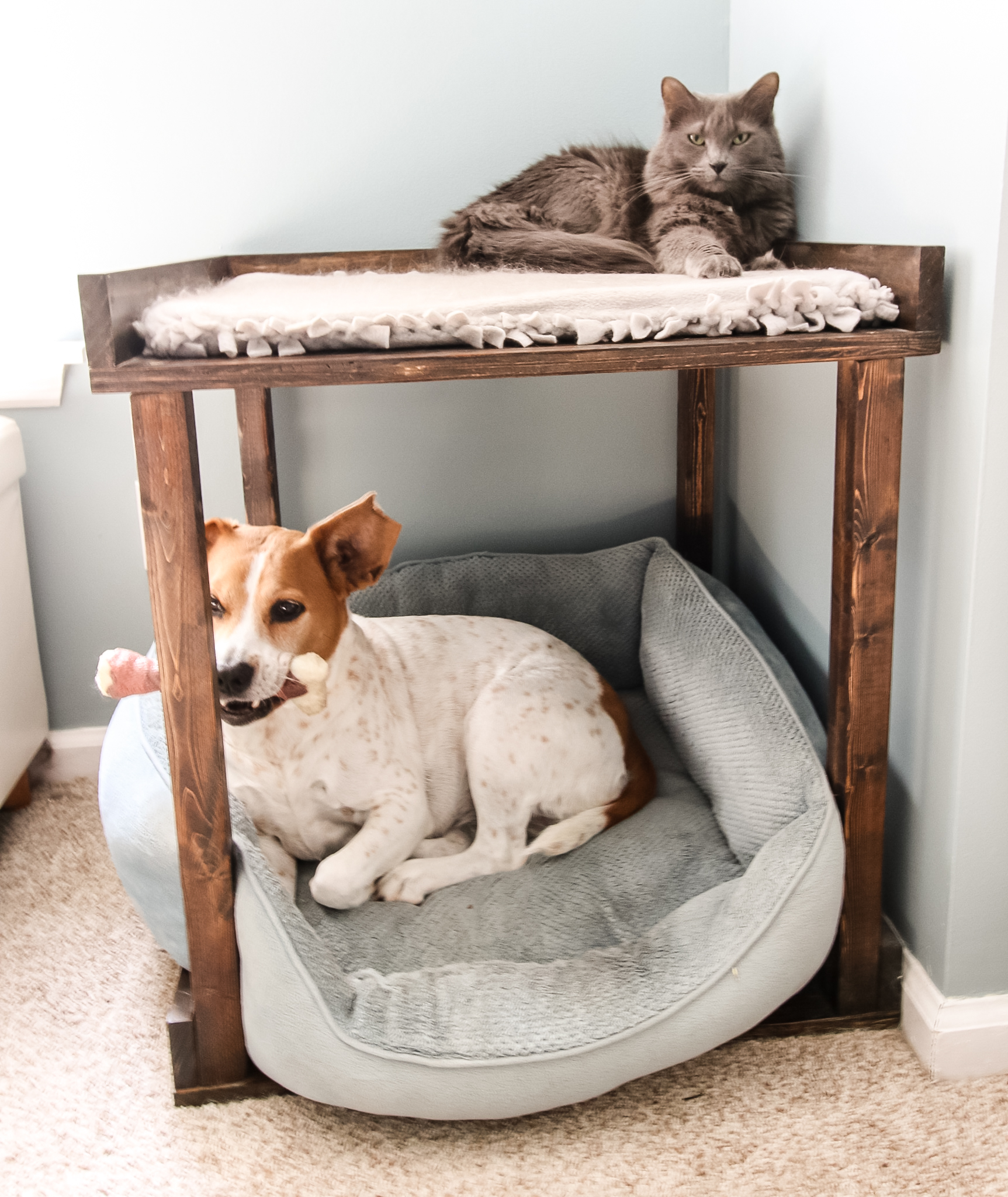 DIY Pet Bunk Bed FREE PDF Woodworking Plans