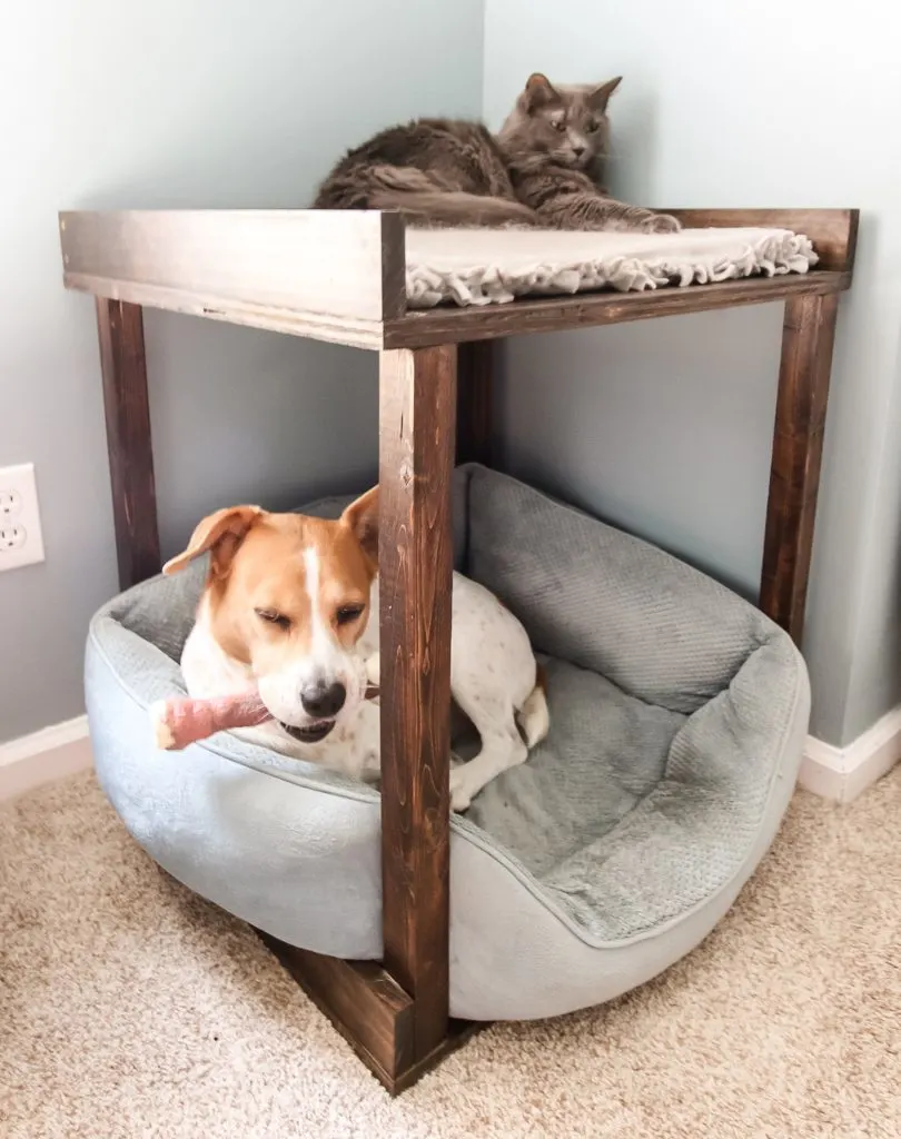 DIY Pet Bunk Bed