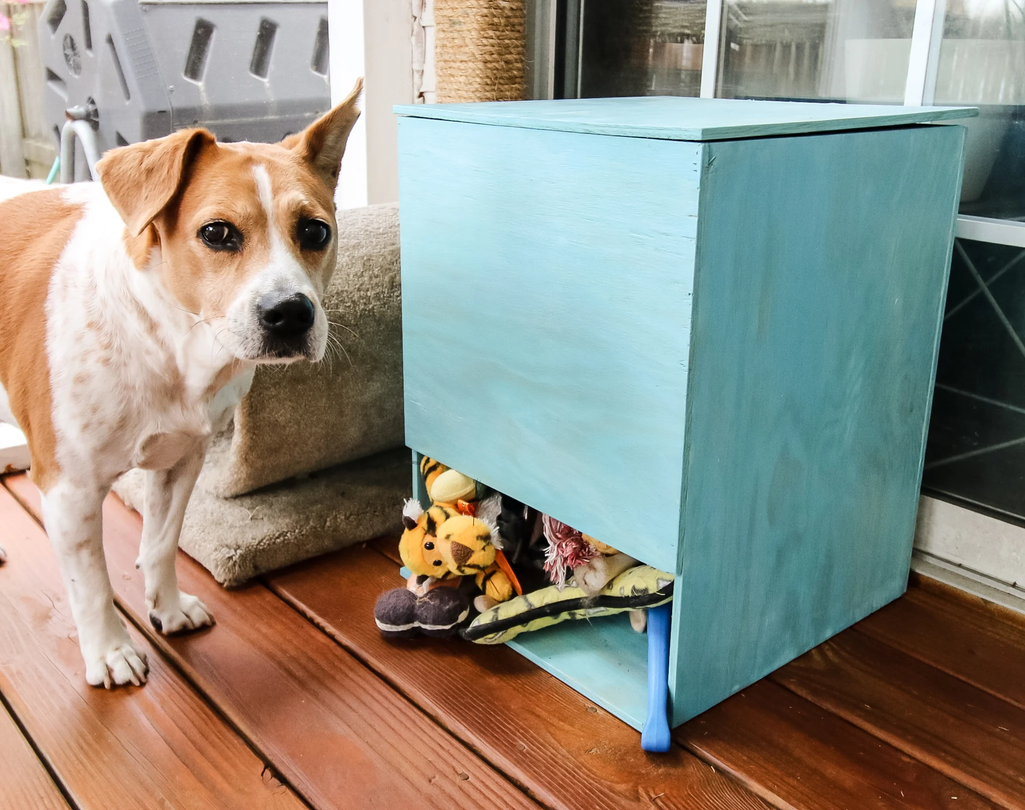DIY Dog Toy Storage Bin - Charleston Crafted