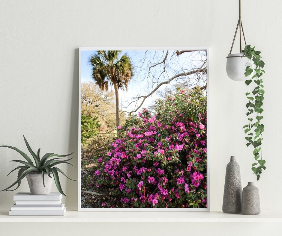 FREE Printable Spring Azalea Photography