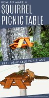 How to make a squirrel picnic table – free PDF plans!