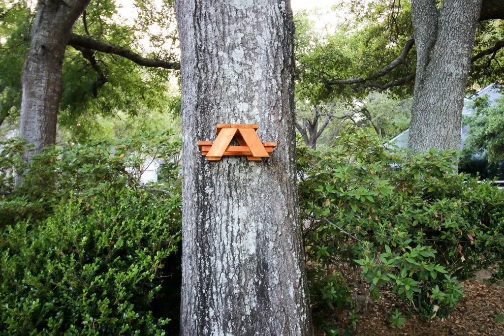 How to make a squirrel picnic table 