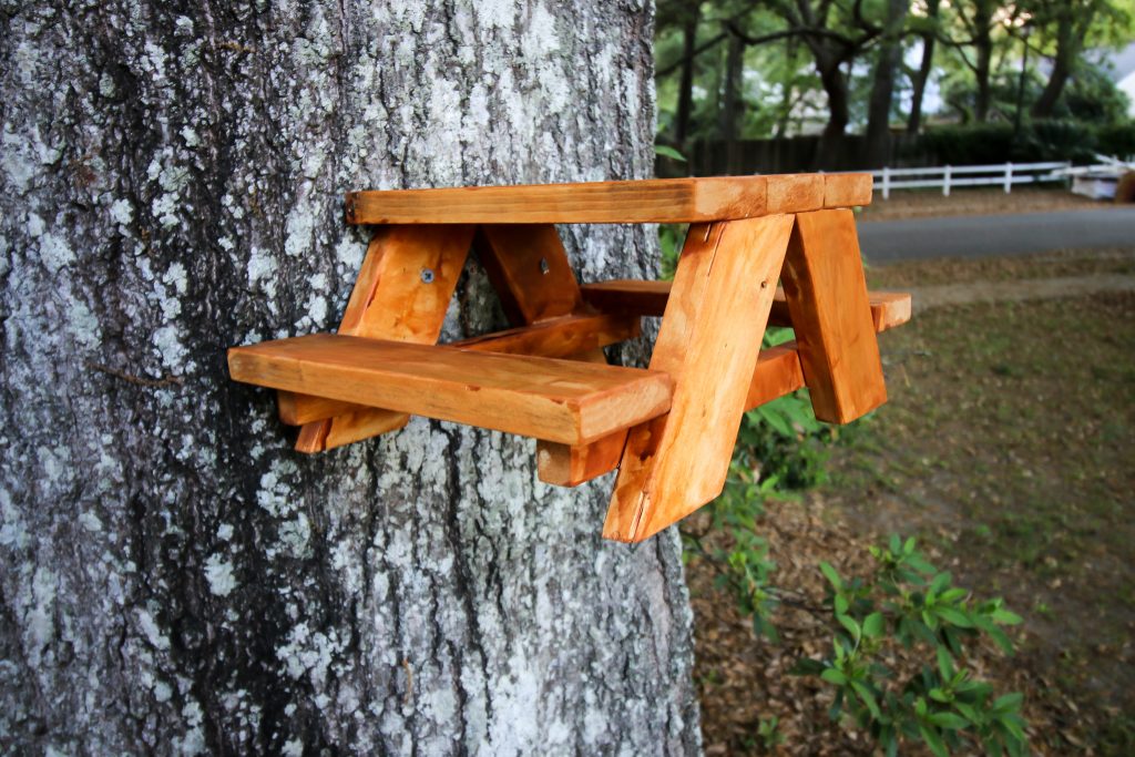 How to make a squirrel picnic table 