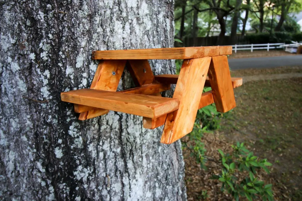 How to make a squirrel picnic table