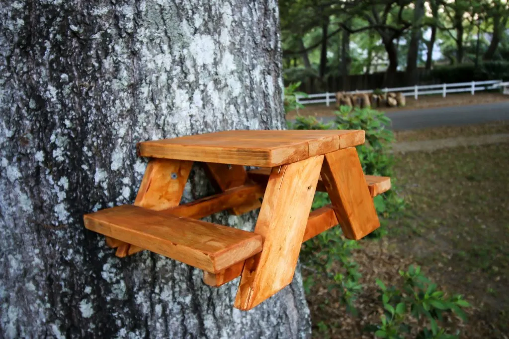 How to make a squirrel picnic table 