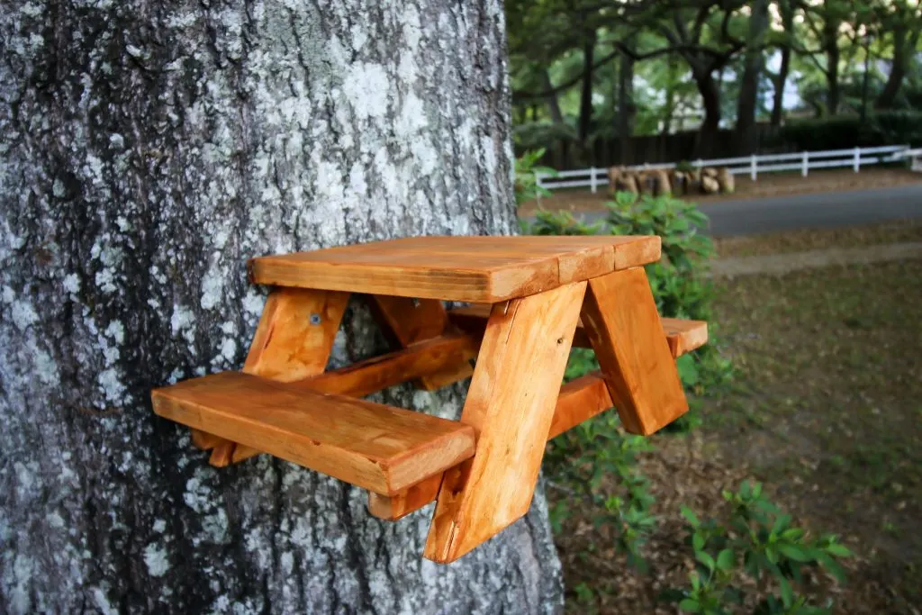 How to make a squirrel picnic table