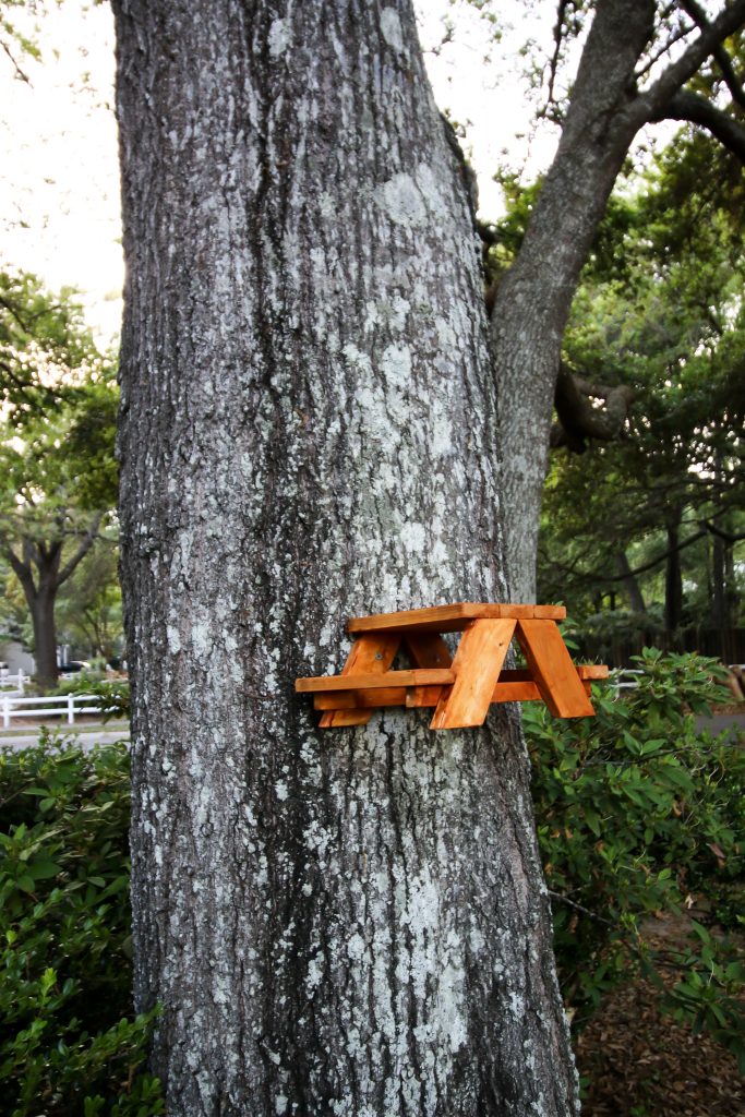 How to make a squirrel picnic table 