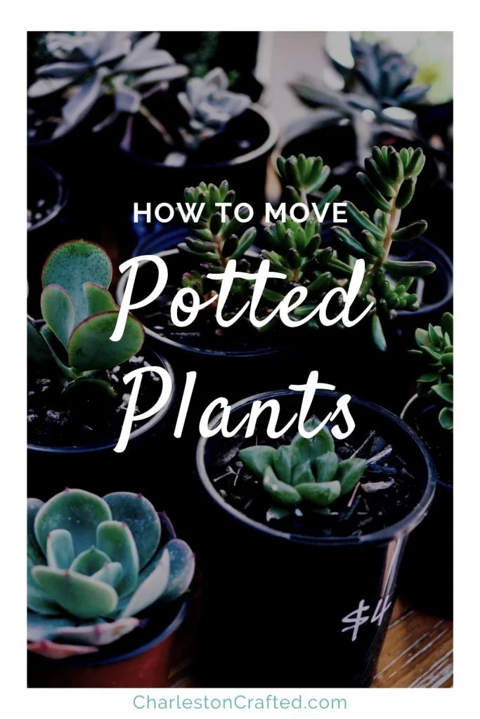 how to move potted plants (1)