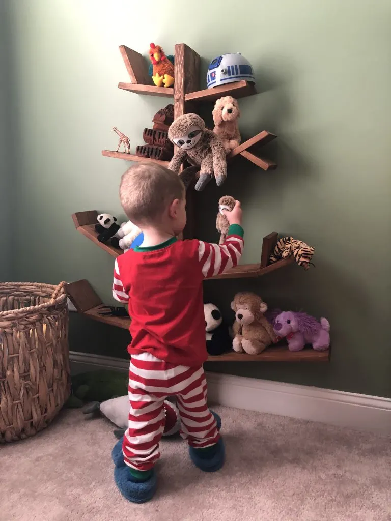 Luke looking at tree bookshelf