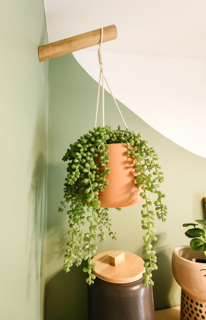 Plants hanging from plant hooks
