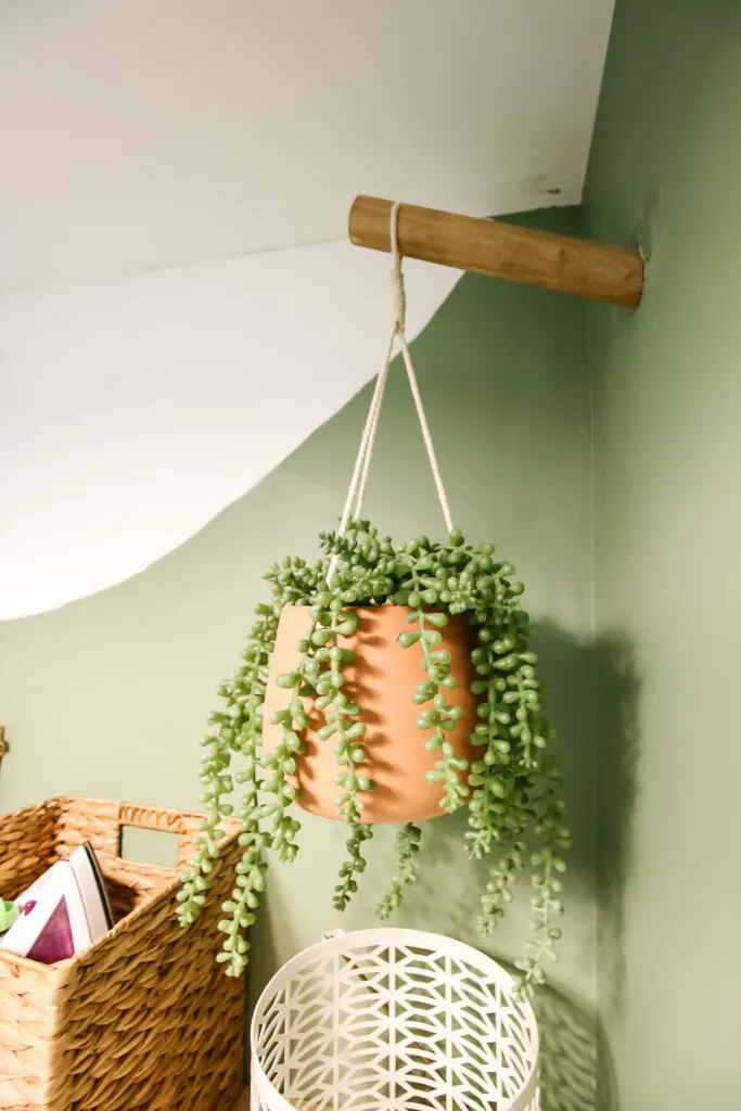 Dowel hook in wall with hanging plant