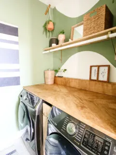 Vertical picture of laundry room