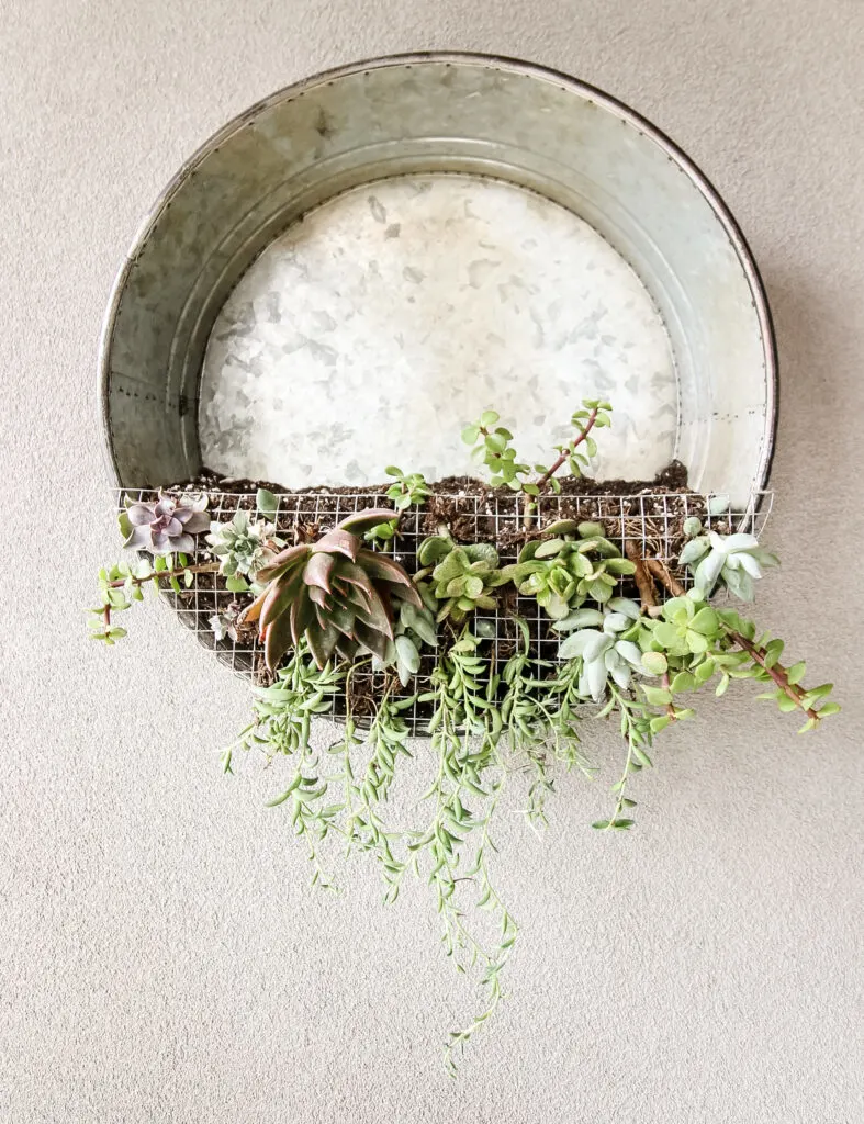 straight-on shot of a vertical wall hanging galvanized metall planter