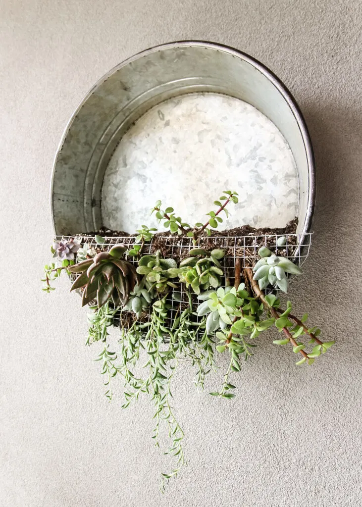 galvanized metal tray upcycled into a wall hanging planter