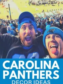 carolina panthers decor ideas