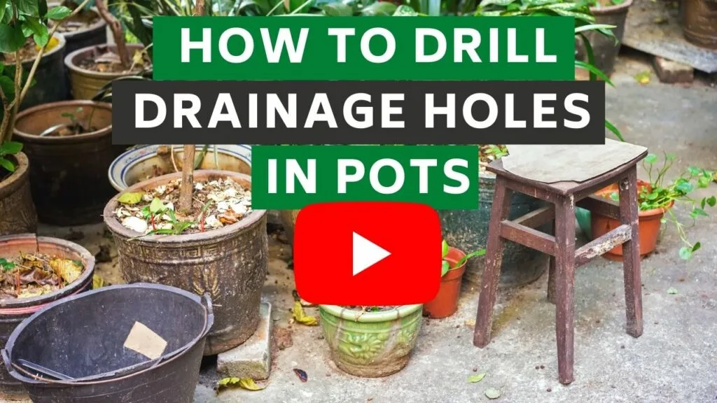 drainage holes in pots youtube Thumbnail BLOG