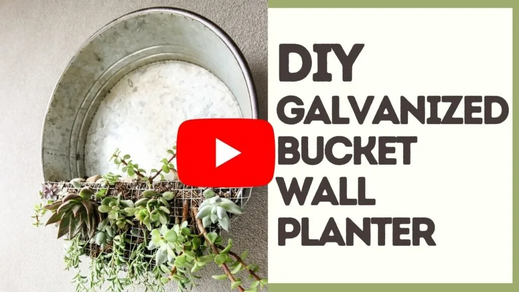 galvanized planter YouTube Thumbnail blog