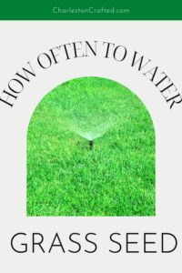 How often to water new grass seed - the ultimate guide!