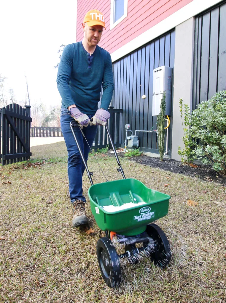 Apply ultrafeed to a dry lawn