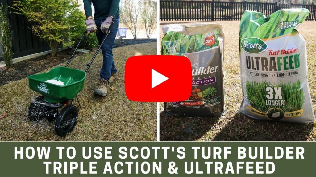 How to use Scotts Turf Builder Triple Action Southern & Ultrafeed youtube thumbnail blog