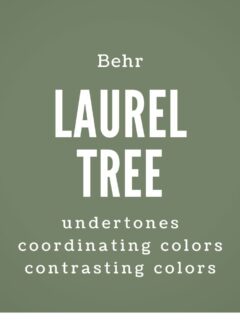 behr laurel tree