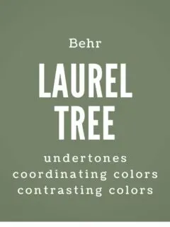 behr laurel tree