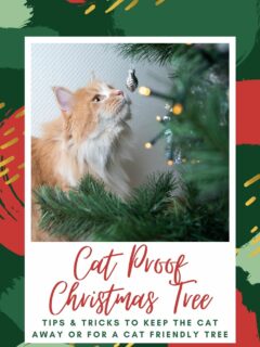 cat proof christmas tree