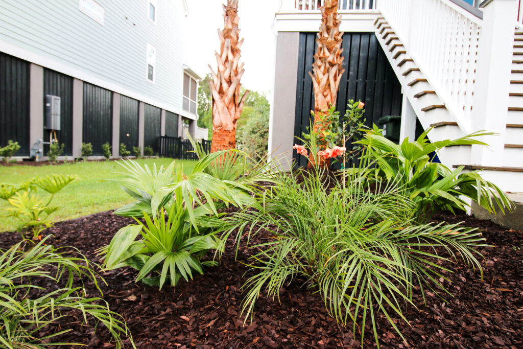 Tropical plants with palm trees