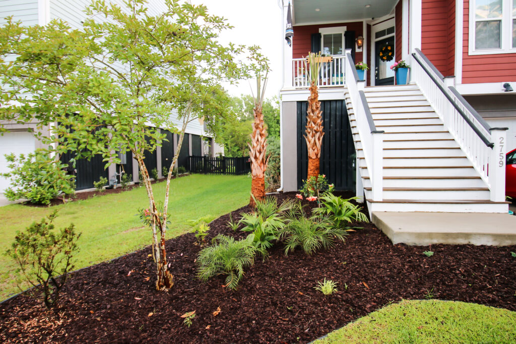 Tropical Front Yard Makeover - Charleston Crafted